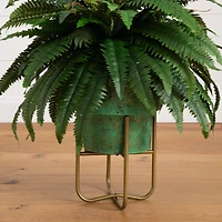 2.5ft. Boston Fern in Patina Metal Planter with Stand