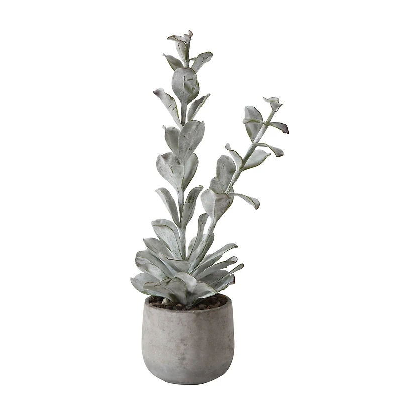 Hello Honey® 24" Succulent in Cement Pot