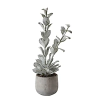 Hello Honey® 24" Succulent in Cement Pot
