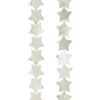 Natural White Shell Star Beads, 10mm by Bead Landing™