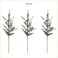 40" Green Eucalyptus Stems, 3ct.