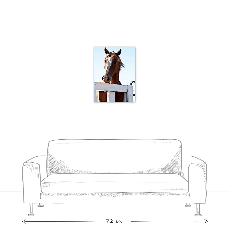 Curious Horse 18" x 24" Canvas Wall Art