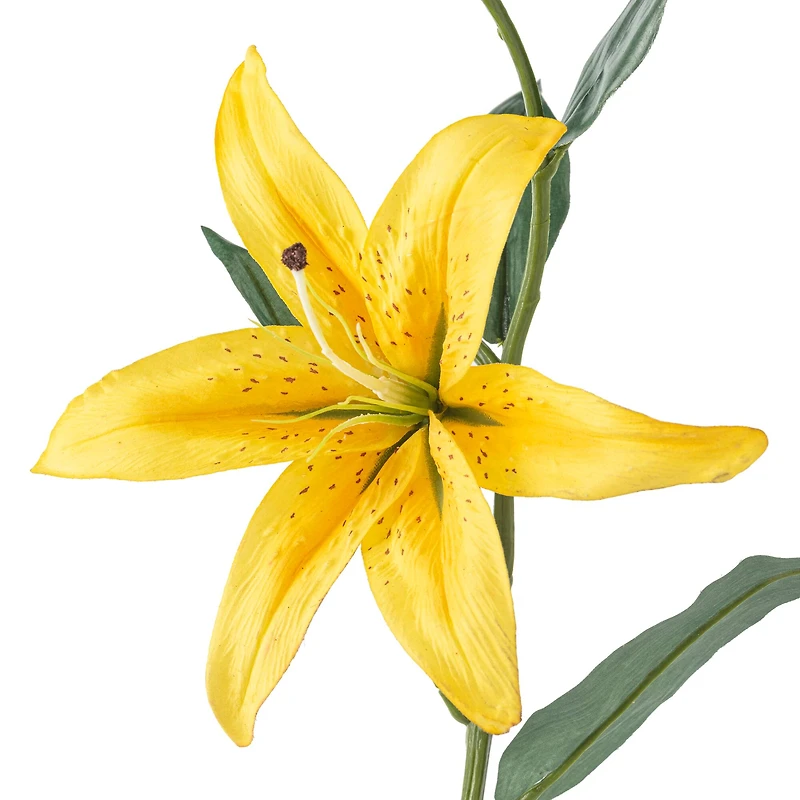 12 Pack: Yellow Casablanca Lily Stem by Ashland®