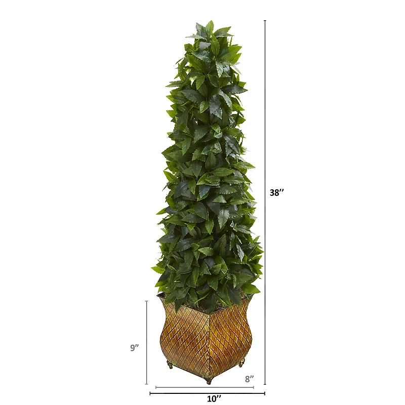 3ft. Sweet Bay Magnolia Cone Topiary Tree in Decorative Metal Planter