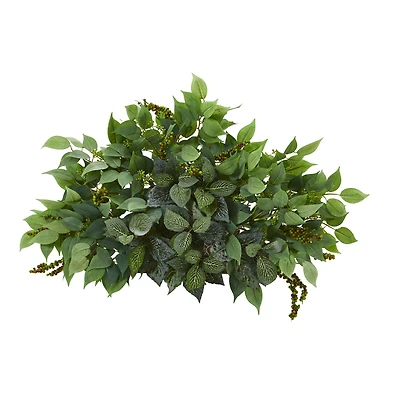 20'' Mixed Ficus & Fittonia Ledge Plant 