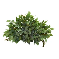 20'' Mixed Ficus & Fittonia Ledge Plant 