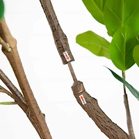 6ft. Artificial Audrey Ficus Leaf Tree in White Decorative Planter