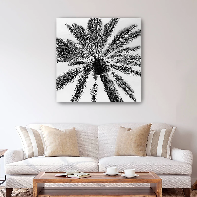 Skyward Palm Canvas Giclee