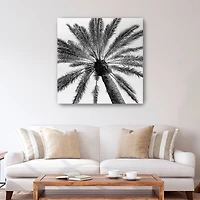 Skyward Palm Canvas Giclee