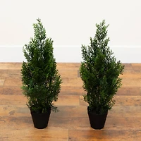2ft. Potted UV Resistant Cedar Pine Trees, 2ct.