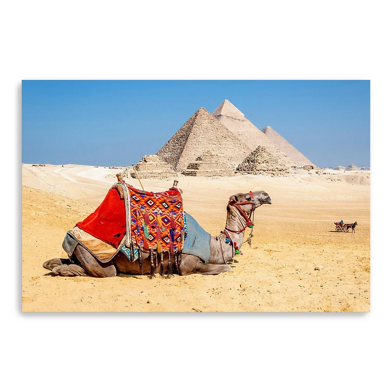 Camel Resting by the Pyramids, Giza