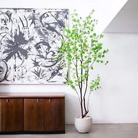 8ft. Potted Artificial Minimalist Enkianthus Tree