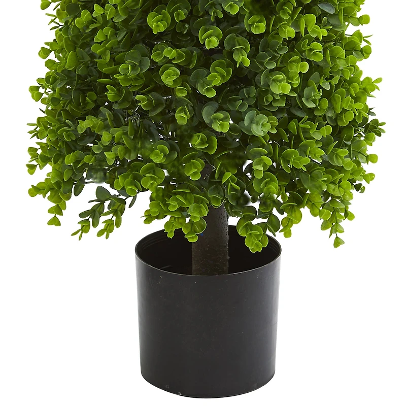 3ft. Potted Eucalyptus Cone Topiary Tree