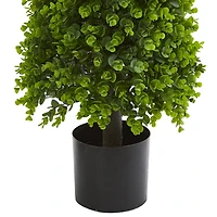 3ft. Potted Eucalyptus Cone Topiary Tree