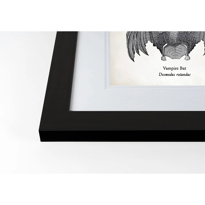 Vampire Bat Halloween Print in Black Frame
