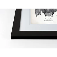 Vampire Bat Halloween Print in Black Frame