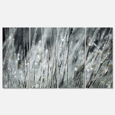 Designart - Raindrops on Grass Black White
