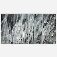 Designart - Raindrops on Grass Black White