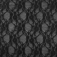 Black Stretch Lace