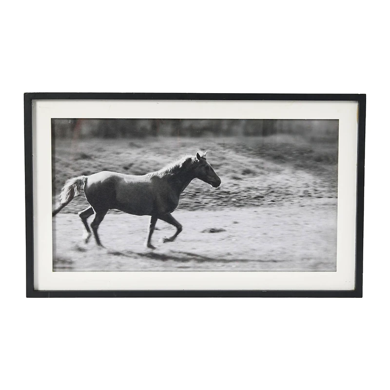 Hello Honey® Galloping Horse Print with Wood Frame
