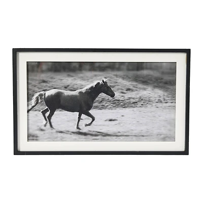 Hello Honey® Galloping Horse Print with Wood Frame