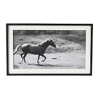 Hello Honey® Galloping Horse Print with Wood Frame