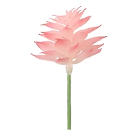 Succulent Mix by Ashland®