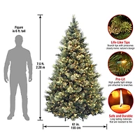 7.5ft. Pre-Lit Carolina Pine Artificial Christmas Tree, Clear Lights