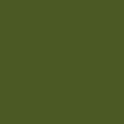 My Colors Classic 12" x 12" Holiday Green 80lb. Cover Weight Cardstock, 25 Sheets