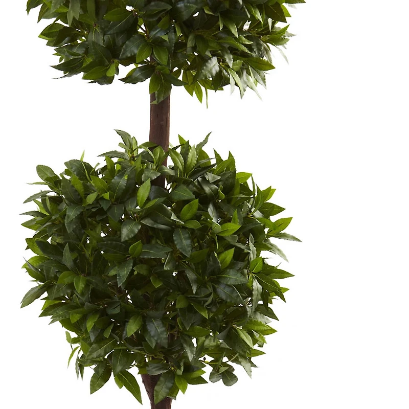 6ft. Potted Sweet Bay Double Ball Topiary Plant