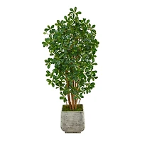 5.5ft. Black Olive Artificial Tree with 1365 Bendable Leaves in White Planter