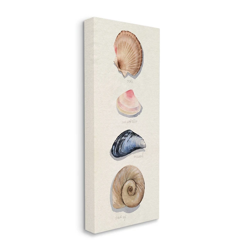 Stupell Industries Nautical Sea Shells over Soft Beige Sand Canvas Wall Art
