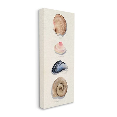 Stupell Industries Nautical Sea Shells over Soft Beige Sand Canvas Wall Art