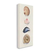 Stupell Industries Nautical Sea Shells over Soft Beige Sand Canvas Wall Art
