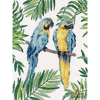 Oven Blue And Yellow Macaws Cross Stitch Kit