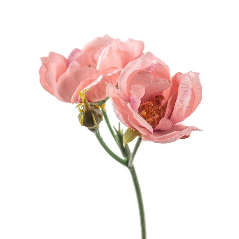 Pink Kate Rose Spray by Ashland®