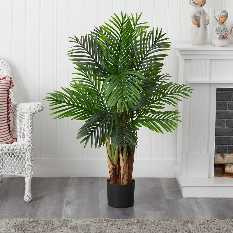4ft. Potted Kentia Palm Tree