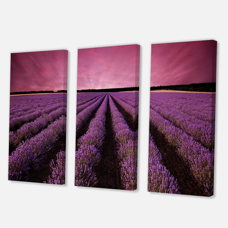 Designart - Sunrise & Dramatic Clouds Over Lavender Field XI