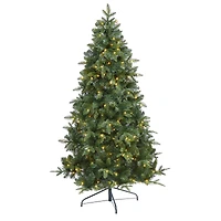6ft. Pre-Lit Grand Teton Spruce Flat Back Artificial Christmas Tree with Clear LED Lights