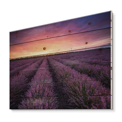 Designart - Sunrise & Dramatic Clouds Over Lavender Field XIII