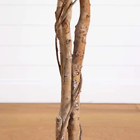 5ft. Artificial Halloween Black Ficus Tree with Natural Trunk