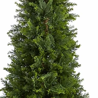 5.5ft. Potted Cypress Cone Topiary Tree