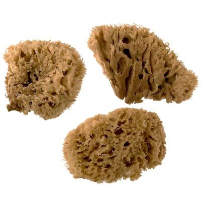 Royal Natural Sea Wool Sponge Set