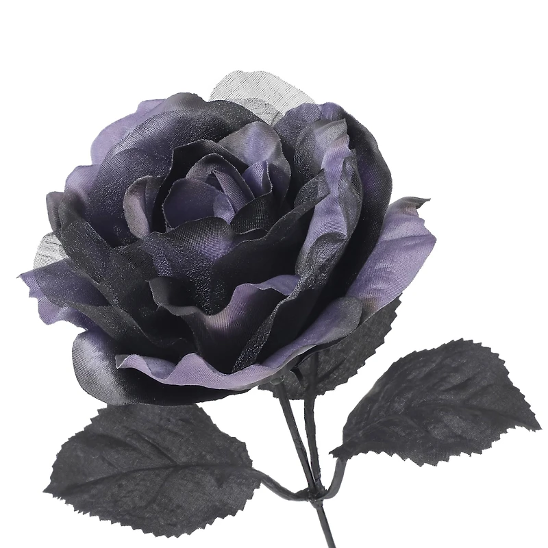 17.5" Purple & Black Rose Bush by Ashland®