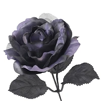 17.5" Purple & Black Rose Bush by Ashland®