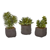 8" Succulent Trio in Gray Planter