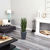 3.5ft. Snake Plant in Slate Planter