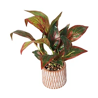 14" Croton Artificial Plant with Geometric Patterned Pot