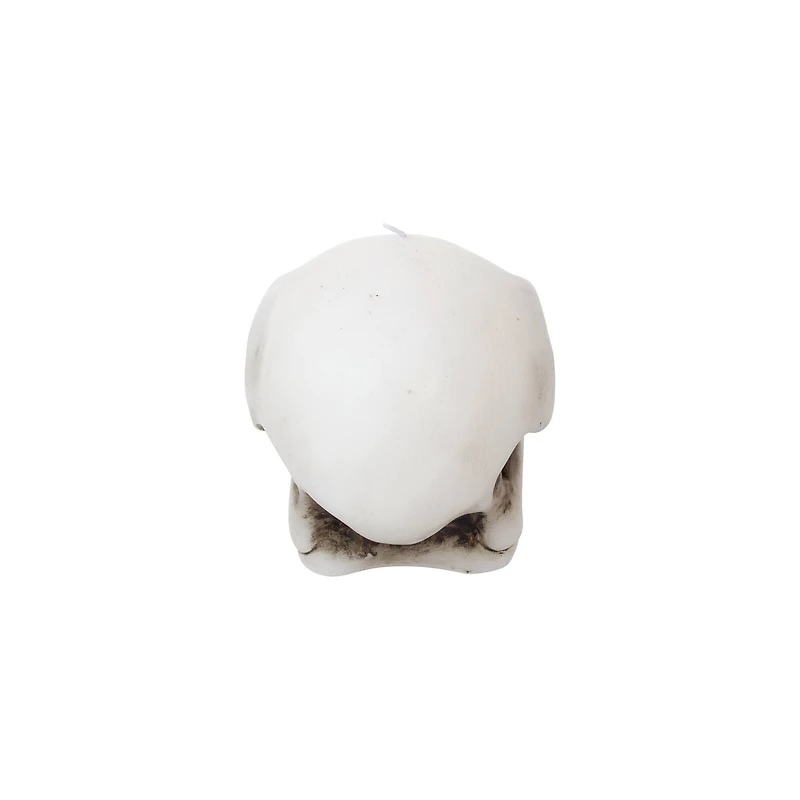 Crow Skull Shaped Candle by Ashland®