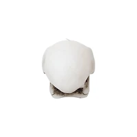Crow Skull Shaped Candle by Ashland®
